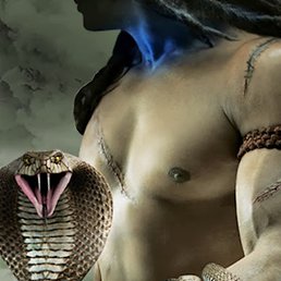 ����������, ���������, 45 ���