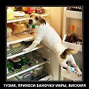 ���� ����, �����������-��-�����, 51 ��� - ��������� 9 ������� 2017 � ������ ������ ��������