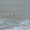 ���� ���������, �����������, 59 ��� - ��������� 20 ������ 2018 � ������ ������ ��������