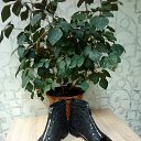 ���� ����, �����-���������, 61 ��� - ��������� 26 ���� 2018 � ������ ���� ����������