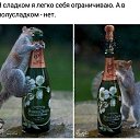���� ���������, ��������, 36 ��� - ��������� 4 ���� 2018 � ������ ���� ����������