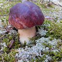 ���� �����, ������ - ��������� 5 ������� 2017