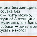 ���� �������, ��������, 53 ���� - ��������� 22 ������ 2017 � ������ ������ ��������