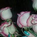 ���� ����, ������ ��������, 57 ��� - ��������� 19 ������� 2017 � ������ ������ ��������