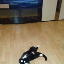 ���� �� ������� ���� ����������