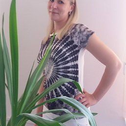 �����, �����, 42 ����