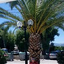 ���� ����, ������, 32 ���� - ��������� 18 ������ 2018