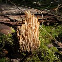 � �������� � ����� ����. �� ������� ����� 2017�