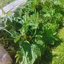 ���� �������, �����-���������, 73 ���� - ��������� 5 ������ 2018 � ������ ���� ����������