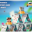 ���� ����, ������������, 63 ���� - ��������� 7 ��� 2018 � ������ �������� �������-�������