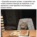 ���� ��������, ����, 72 ���� - ��������� 9 ����� 2018 � ������ ���� ����������