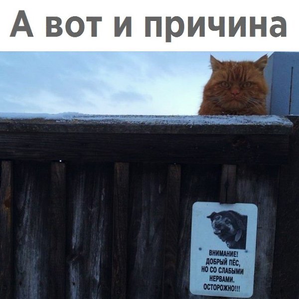       - 16  2018  02:37