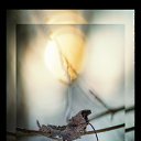 ���� ����, ������������, 43 ���� - ��������� 17 ��� 2018