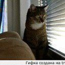 ���� ������, ������, 63 ���� - ��������� 31 ������� 2017 � ������ ���� ����������