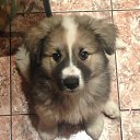 ���� ������, ������, 57 ��� - ��������� 1 ���� 2018 � ������ ���� ����������