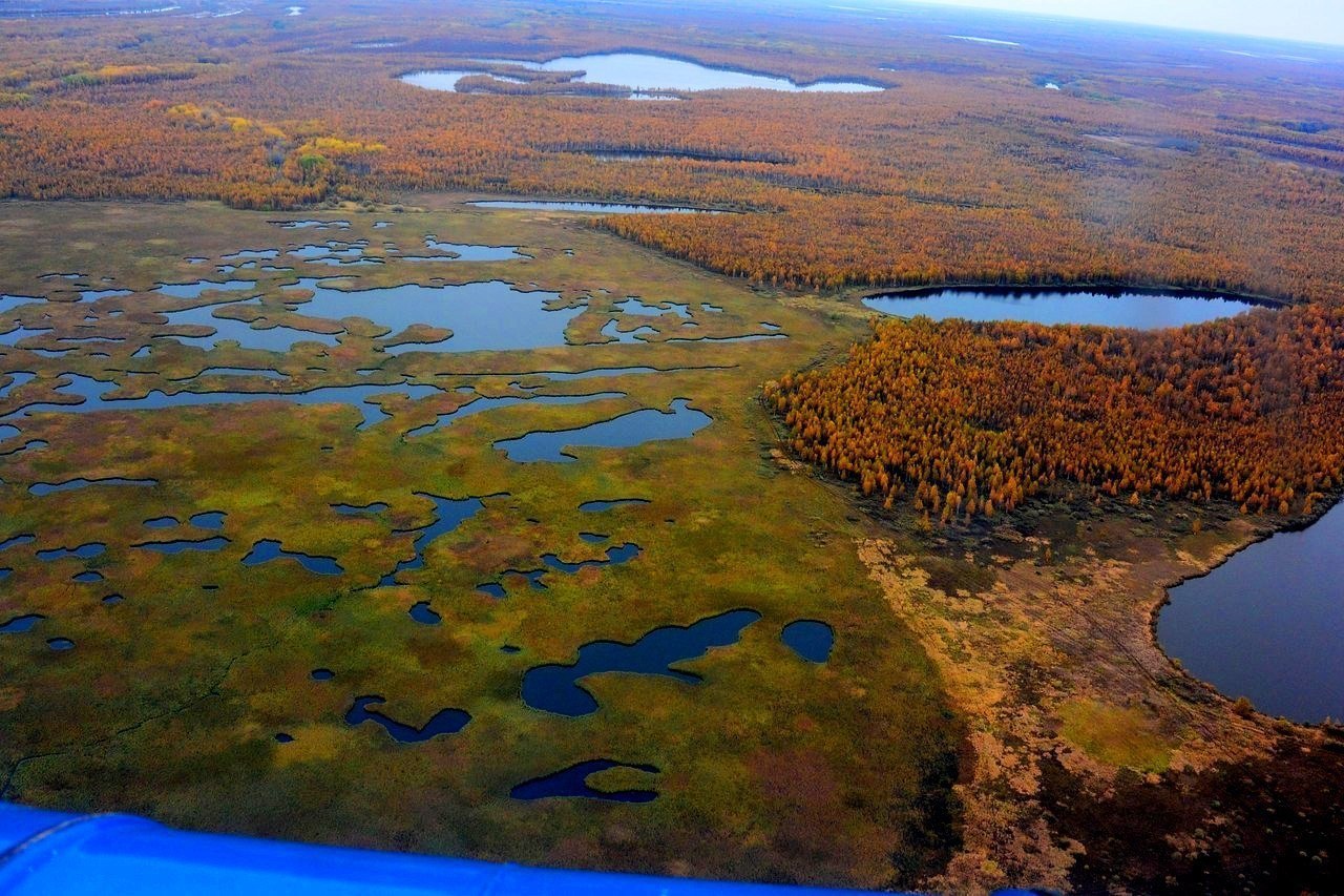 Крупные озера западной сибири. Васюганские болота, Сибирь. Западно Сибирская равнина Васюганское болото. Васюганский заповедник в Новосибирской области. Васюганское болото заповедник.