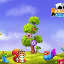 ���� ������, ������������, 67 ��� - ��������� 21 ������ 2017 � ������ �������� �������-�������