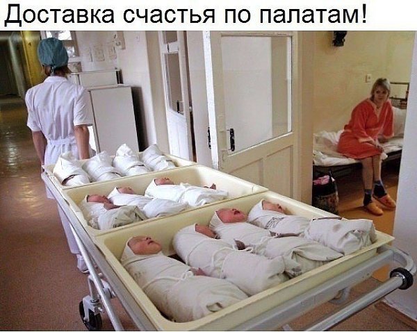   ,     - 2