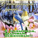 ���� ������ �����, �����������, 66 ��� - ��������� 28 ������� 2018 � ������ ������ ��������