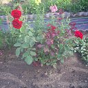 ���� ���������, ������� ����, 68 ��� - ��������� 20 ���� 2018 � ������ ���������� http://vk.com/app2406713�