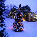 ���� ��������, ���������� - ��������� 12 ������ 2018 � ������ ���� ����������