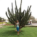 ������...�������� 2018 �. �� ������� ���� ����������