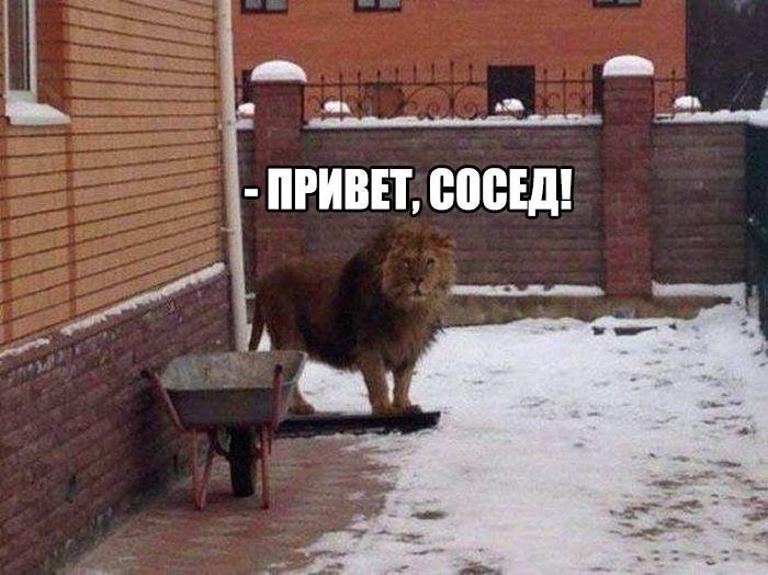    ? - 4