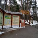 ���� ������, ����������, 46 ��� - ��������� 31 ����� 2018 � ������ ������ ��������