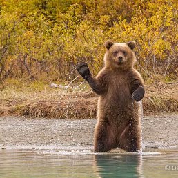 ����, ������, 29 ���