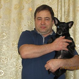 ��������, ������, 54 ����