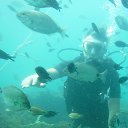 ���� ���, ������� - ��������� 4 ���� 2018 � ������ ���� ����������