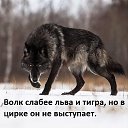 ���� ������, ������ - ��������� 16 ������� 2018 � ������ ���� ����������