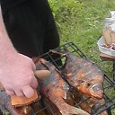  , -, 53  -  16  2018    