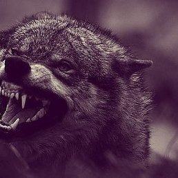 ���� ������, ����������, 36 ��� - ��������� 16 ������ 2018