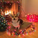 ���� ���, �����, 60 ��� - ��������� 20 ������� 2017 � ������ ������ ��������