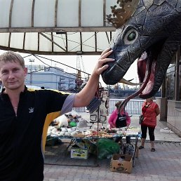 �������, 40 ���, ������