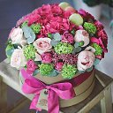 ���� �����, �����������, 40 ��� - ��������� 27 ������ 2018 � ������ ���� ����������