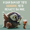���� �������, �����-������� - ��������� 1 ��� 2018 � ������ ������ ��������