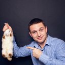 ���� ���������, ���������, 36 ��� - ��������� 21 ���� 2018 � ������ ���� ����������