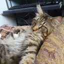 )) ��, ��� ����...? ���� ��������...? � ���...? ������ � �����)) �� ������� �������� ��������