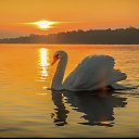   <3, , 26  -  22  2018    