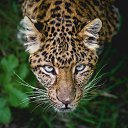 ���� Malina, ����������� - ��������� 13 ���� 2018 � ������ ���� ����������