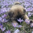 ���� ������, ������������ - ��������� 10 ������� 2018 � ������ ���� ����������