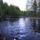 ���� ����, ��������, 59 ��� - ��������� 13 ����� 2018 � ������ ������ ��������