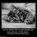  ,   !, - -  13  2018    