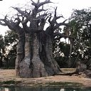 ���� Milda ,Mama, �����������, 42 ���� - ��������� 18 ������ 2018 � ������ �Walt Disney Word�