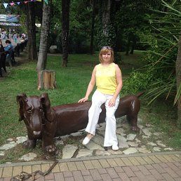 Светлана, 53, Ульяновск