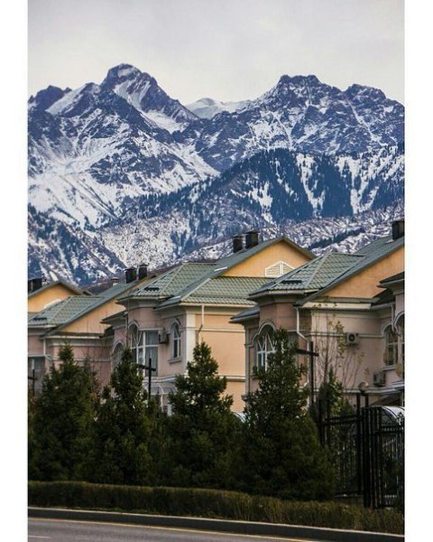 Алма ата горы фото Admissions
