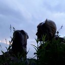 ���� �����, �����-���������, 49 ��� - ��������� 20 ������ 2018 � ������ ���� ����������