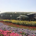 ���� ����, ������������, 55 ��� - ��������� 11 ����� 2018 � ������ ���� ����������